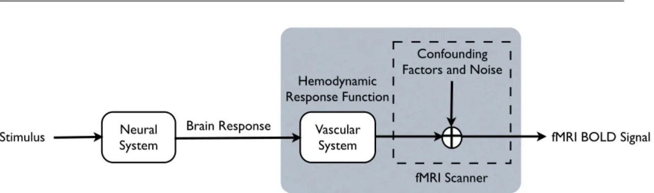 Figure 2.1. A schematic view of the relationship between the experimental protocol, the brain responses, and the BOLD measurments