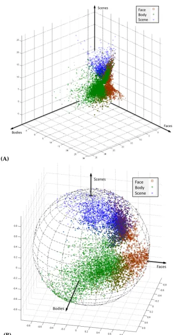 Figure 4.1. An example of voxel selectivity profiles in the context of a study of visual category selectivity.