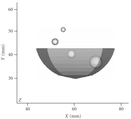 Figure 4: The view of the model in the plane of image reconstruc-tion.