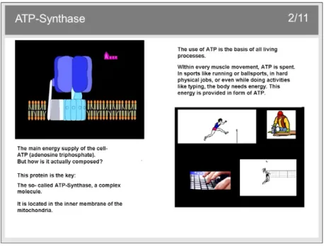 Fig. 1. A screenshot of the learning environment used in the text–seductive detail condition showing the on-screen text (lower left corner), corresponding picture (top left corner), and seductive details (additional text and animated pictures on the right 