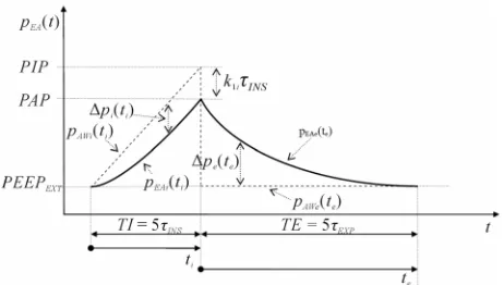 Figure 4. from the application of AD_TRIANG.  Lung volume (vP(t)) as a function of time (t) resulting  