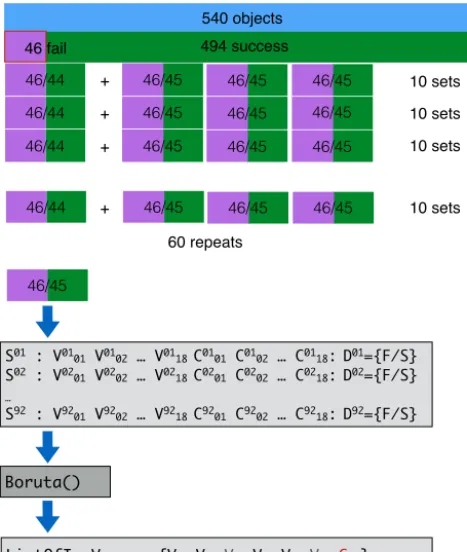 Figure 1. Protocol of the ﬁrst test. The example list of importantvariables from a single Boruta run is shown