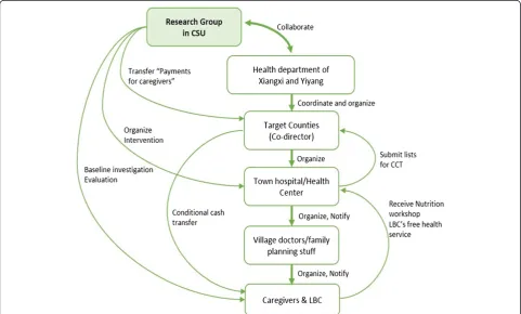 Fig. 2 Local network for project implementation. CCT conditional cash transfer, CSU Central South University, LBC left-behind children
