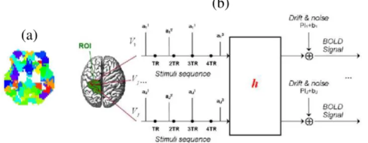 Fig. 1. (a): Slice of the color-coded parcellation at z = −4mm. (b): Parcel- Parcel-based model of the BOLD signal.