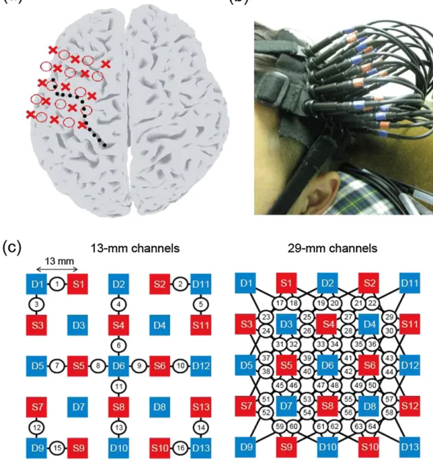 Fig. 1. High-density NIRS measurements. (a)Source and detector probes projected on a subject's cortical model