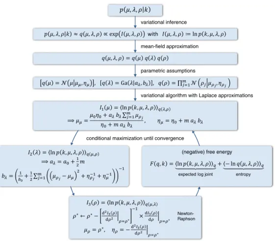 Fig. 3. Variational inversion of the univariate normal-binomial model. This schematic summarizes the individual steps involved in the variational approach to the inversion of the univariate normal-binomial model, as described in the main text (see Theory).