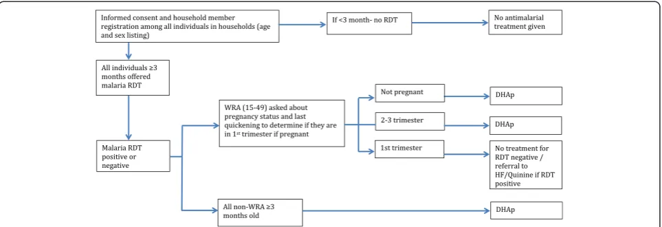 Fig. 2 Participant flow chart to determine antimalarial treatment regimen under MDA-DHAp