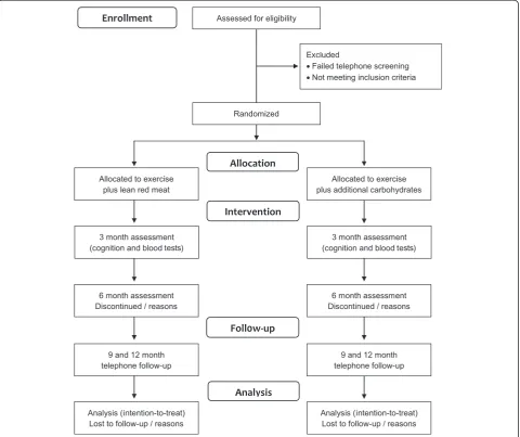 Fig. 1 Flow diagram of the progress from screening to the final follow-up assessment