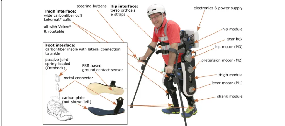 Fig. 1 VariLeg exoskeleton with user (motor complete thoracic SCI). A variable stiffness actuator (VSA) in the knee joint can mimic the stiffnessmodulation observed in individuals with unimpaired gait (M2/M1)