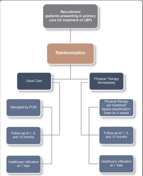 Fig. 1 Study flow diagram. LBP = Low Back Pain, PCM = PrimaryCare Manager