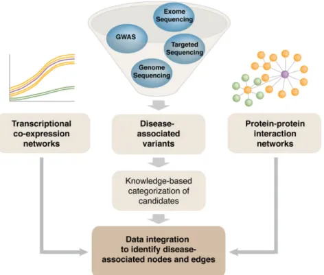 Fig. 6. Integration of multi-level data sets for system-level understanding. Simultaneous analysis of genomics, transcriptomics and proteomics data can provide a comprehensive multi-dimensional view of the system and can help identify pathways and networks