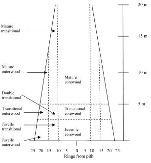 Figure 1-1: Schematic section of a typical P. radiata stem showing new categorisation of wood zones