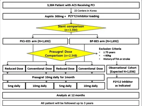 Fig. 1 HOST-REDUCE-POLYTECH-ACS trial algorithm.stent, Abbreviations: ACS acute coronary syndrome, BP-BES biodegradable polymer-coated biolimus-eluting PCI percutaneous coronary intervention, PtCr-EES platinum-chromium-based everolimus-eluting stent, TIA transient ischemic attack