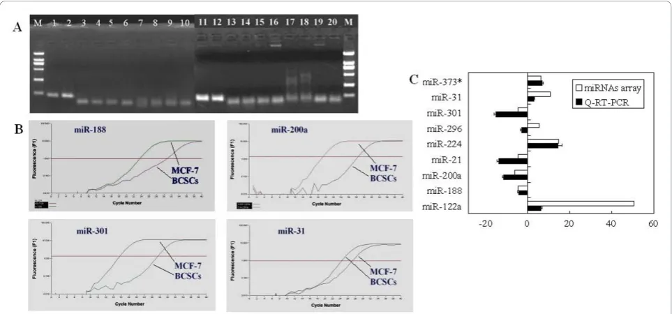 Table 2 Verification The microarray data were verified by Q-RT-PCR