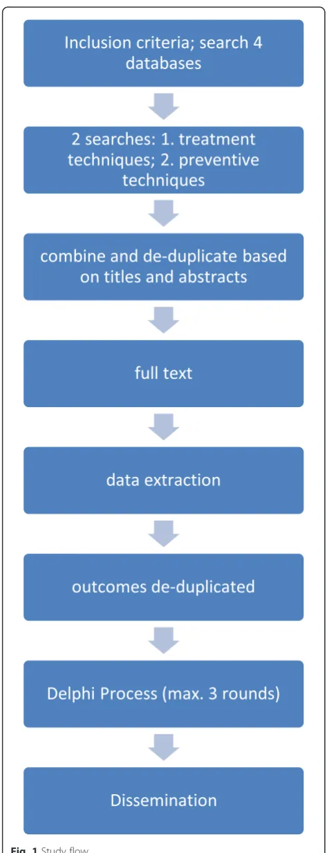 Fig. 1 Study flow