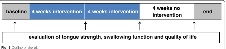 Fig. 1 Outline of the trial