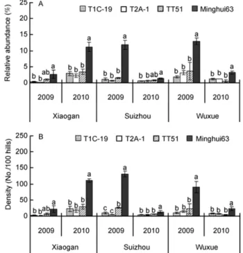 Figure 1    Relative abundance (A) and density (B) of C. medinalis on the  three transgenic Bt rice lines and non-transgenic Minghui 63 at different  sites in 2009 and 2010