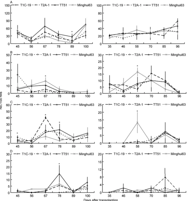 Figure 3    The population dynamics of the four natural predator arthropods (No./100 hills) on the three transgenic Bt rice lines and non-transgenic Minghui  63 at Suizhou in 2009 (left) and 2010 (right)