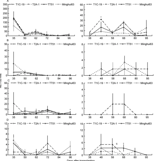 Figure 4    The population dynamics of the four natural predator arthropods (No./100 hills) on the three transgenic Bt rice lines and non-transgenic Minghui  63 at Wuxue in 2009 (left) and 2010 (right)