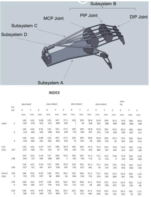 Figure 4. Data from the movement of the index finger of the customer, obtained by the students,  using Vicon 3D Motion Capture System, available in our Human Interactive Robotics Lab