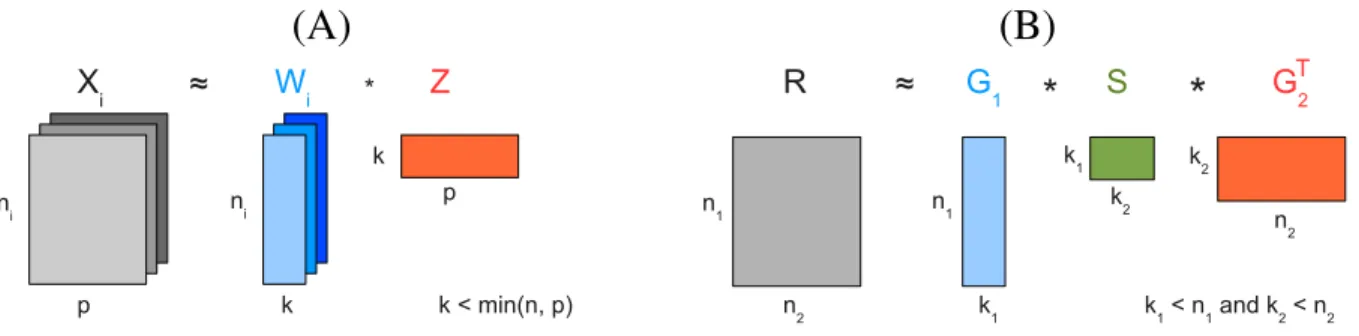 Figure 3. Illustration of MF-based methods. (A) Matrix factorization of multiple data matrices, X i , representing different data types (e.g., mRNA expression, DNA methylation, copy number variation, etc.) over the same number of samples p