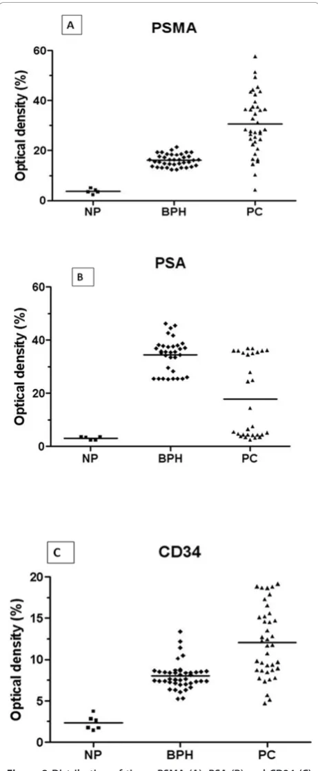 Figure 2 Distribution of tissue PSMA (A), PSA (B) and CD34 (C)immunostaining intensity (measured as average opticaldensity) according to normal prostate (NP), benign prostatichyperplasia (BPH) and prostatic carcinoma (PC)