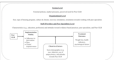Fig. 1 Conceptual framework for effectiveness and implementation research