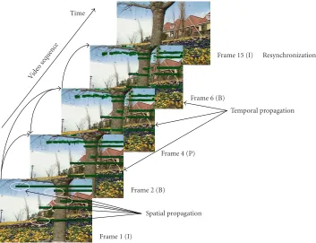 Figure 1: Spatial and temporal propagation phenomena.