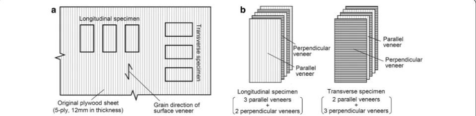 Fig. 1 Plywood specimens. a Sampling method of longitudinal and transverse specimens from an original sheet