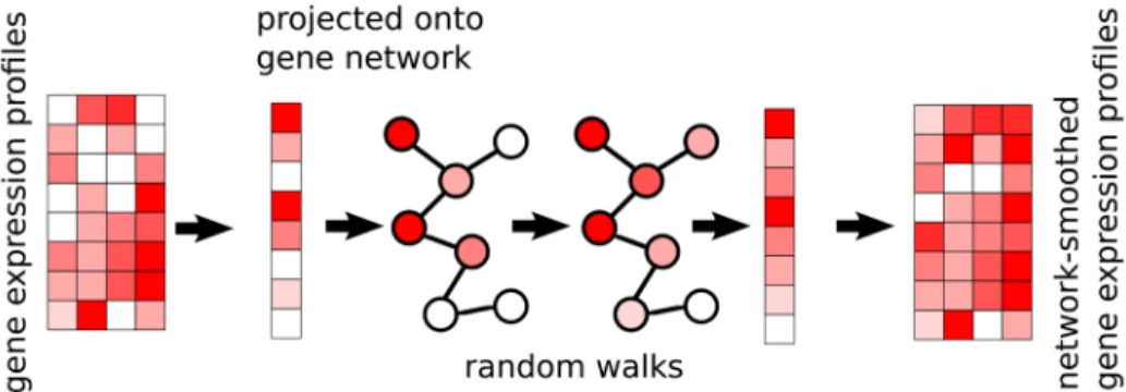Figure  2c,d  shows  the  same  for  the  MAGIC  and  scImpute-  preprocessed  data,  respectively