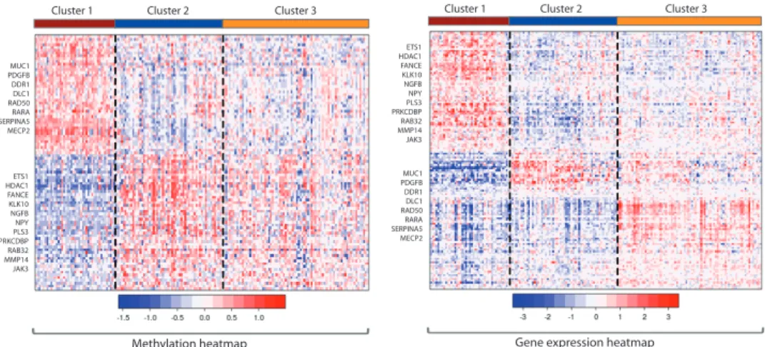Figure 5: Integrative clustering of the Holm study DNA methylation and gene expression data revealed three clusters with a cross-validated reproducibility of 0.7