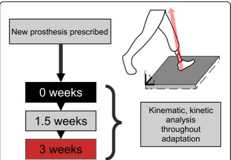 Fig. 1 Experimental Protocol.prosthetic foot at their current functional level by a certified prosthetist.Fitting and alignment were performed on the subjectgait laboratory, after which the first data collection was performed(0 weeks)