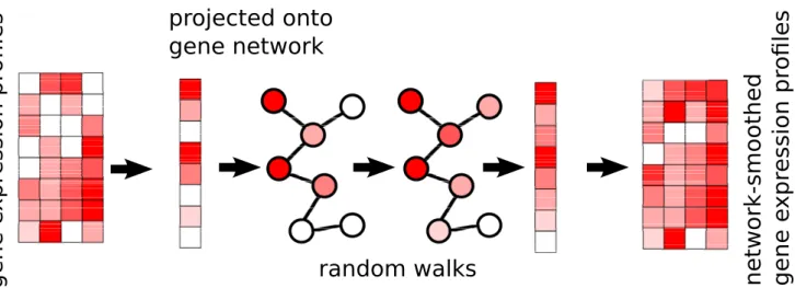 Figure 1. The netSmooth algorithm takes a gene expression profile, and a gene network