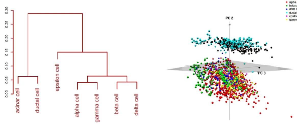 Figure 2.6: Left: Correlation distances between mean expression levels of 7 pancreatic island cell types from [46]