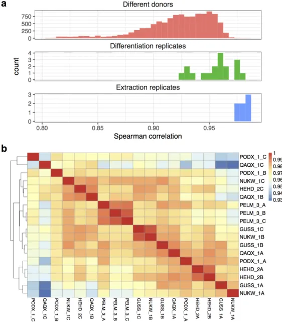 Figure 8: Global gene expression correlations across donors and differentiation replicates