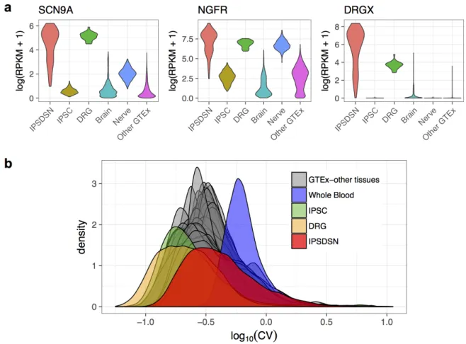 Figure 9: Gene expression is highly variable across IPSDSN cell lines. (a) Distribution of expression  levels for selected sensory neuronal marker genes in IPSDSN, DRG, GTEx tibial nerve, GTEx brain,  and all other GTEx tissues