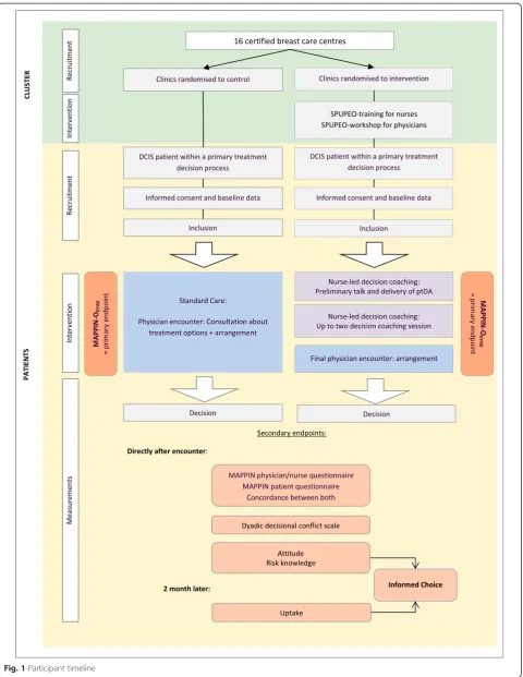 Fig. 1 Participant timeline
