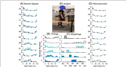 Fig. 1 Sample module factorization of a representative subject.modules extracted using nonnegative muscle factorization.mean reconstructed value (black dot-dash) for the ten muscle signals.Soleus (SO), Tibialis anterior (TA), Peroneus longus (PL), Medial g