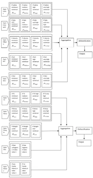 Figure 1. Computing framework of fuzzy inference system. 