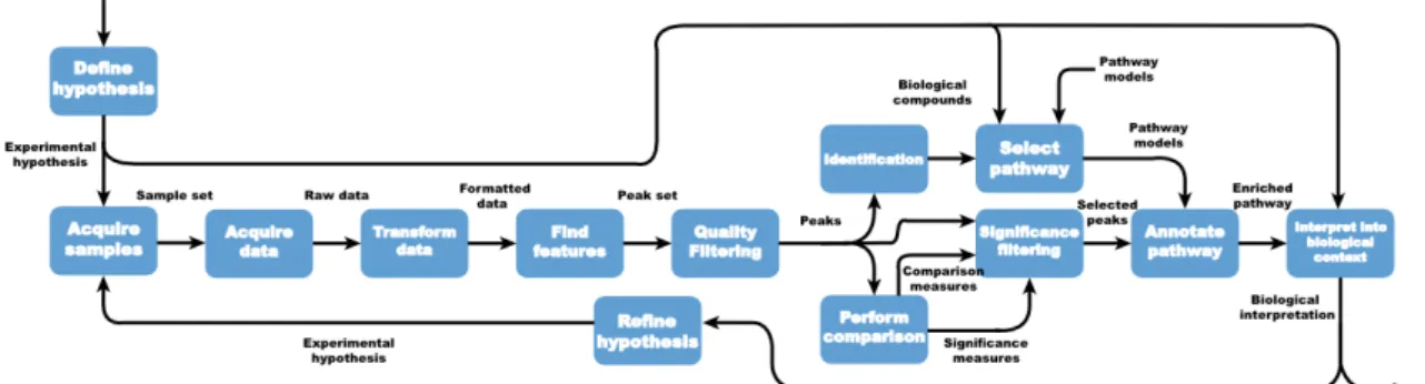 Figure 3.1: Model of an integrated metabolomics workflow from hypothesis generation to biological interpretation.
