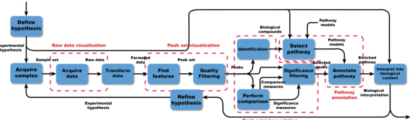 Figure 3.10: Metabolomics workflow activities that need support by context-sensitive data visualisation.
