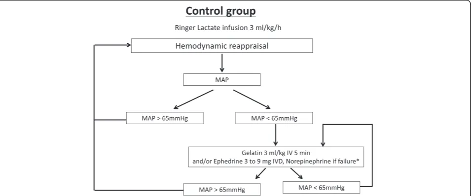 Fig. 2 Hemodynamic algorithm for the control group. *Norepinephrine after failure of the use of ephedrine defined by the use of 30 mgof 0.05of ephedrine without desired hemodynamic response