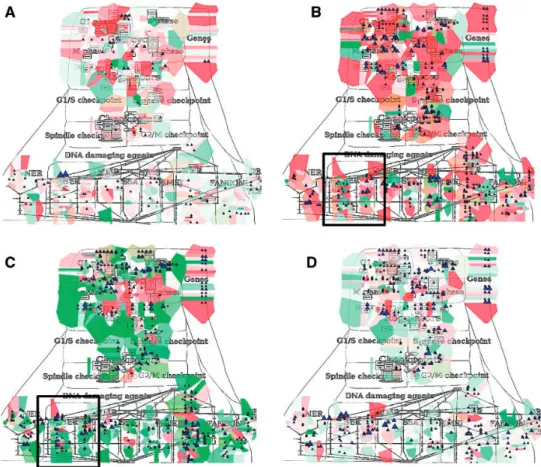 Figure 4. Molecular portraits of cancer types. Expression and mutation data from cBioPortal has been displayed on the DNA repair map using the pre-defined display mode as detailed in Table 1