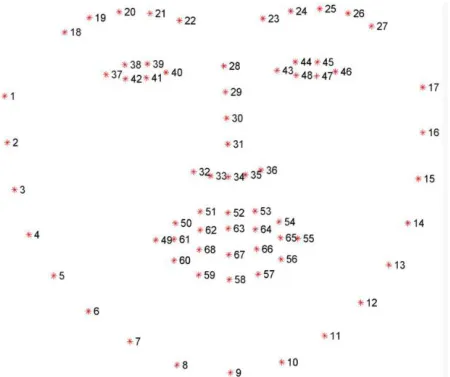 Fig. 2.0 Plots marked against a human eye  