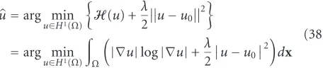 Figure 7 the behavior of the variational integrands we have