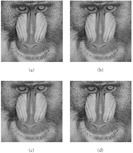 Figure 8: Results for Baboon image: (a) original image f (xi), (b)blurred image g(fi), (c) degraded image yi, and (d) restored imagef� (xi), (SNRI = 0.97).