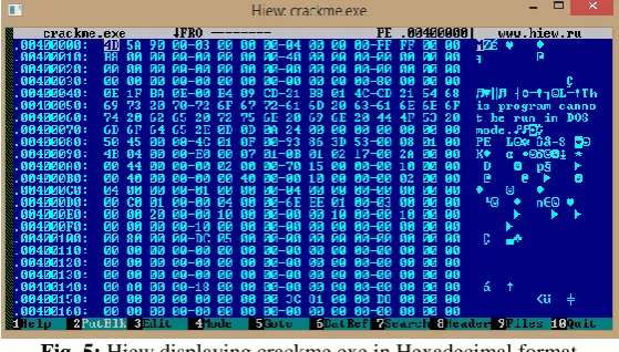 Fig. 5: Hiew displaying crackme.exe in Hexadecimal format 