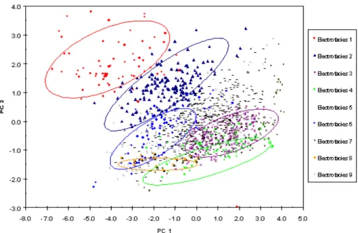 Figure 1.7 Electrofacies Characterization via Cluster Analysis 