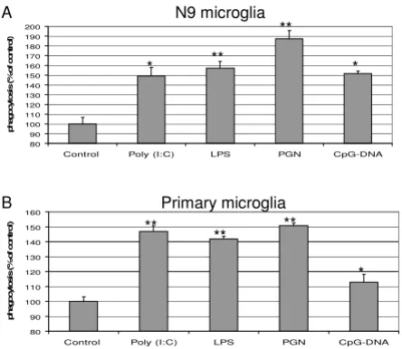 Figure 1PAMP stimulation results in enhanced microglial phagocytosisµPAMP stimulation results in enhanced microglial phagocyto-sis