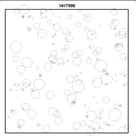 Fig. 2 An example of a mapped test area with a clustered spatialpattern. The sizes of circles are proportional to the diameters ofthe trees